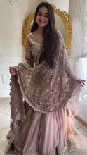 Load image into Gallery viewer, Aanchal~Onion Light Color Georgette Sequence Work Lehenga Choli
