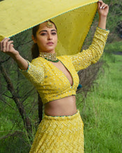 Load image into Gallery viewer, Wedding  Special  Embroidery  Lehengha Choli With Dupata  For Women

