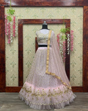 Load image into Gallery viewer, Outstanding Baby Pink Color Festive Wear Net Sequence Work Lehenga Choli
