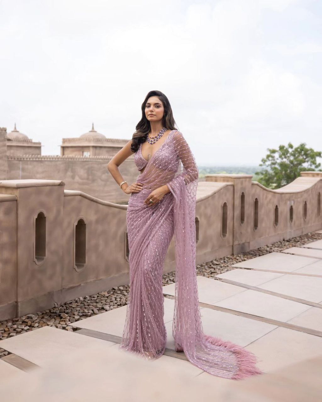 Onion Color Soft Net Sequence Work Saree With Work Blouse
